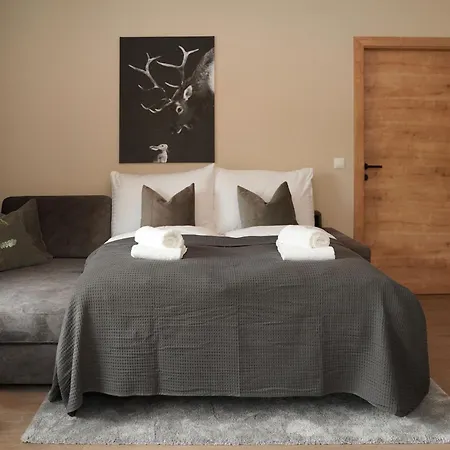 Aparthotel Lenz By Inncomer 4*